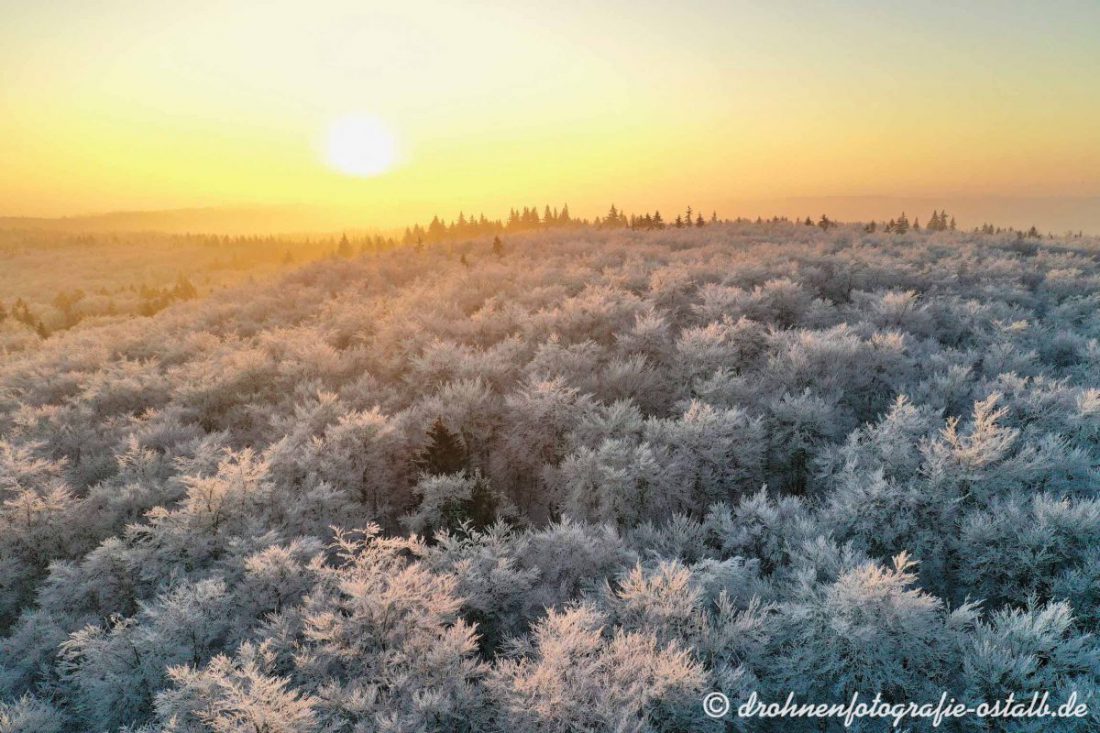Sonnenaufgang über dem Härzfeld