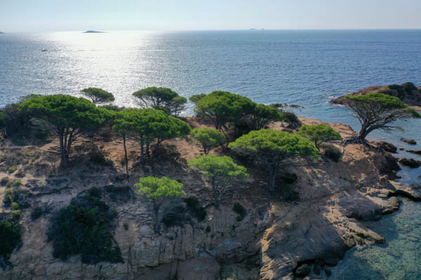 Korsika