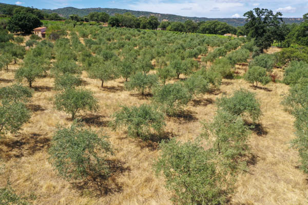 Sardinien