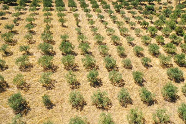 Sardinien