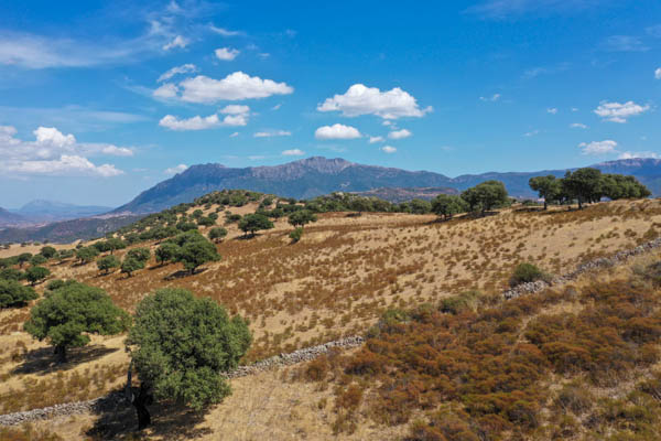Sardinien